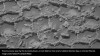 iflscience - Like The Top Of A Martian Honeycomb: NASA's Curiosity Rover Discovers Odd, Polygonal Structures On Mars
