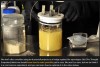 hackaday - DIY Penicillin