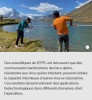 EPFL - Les surprenantes propriétés antivirales des bactéries alpines