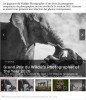 sciencesetavenir - Wildlife Photographer of the Year 2026 : découvrez les clichés primés du célèbre concours photo